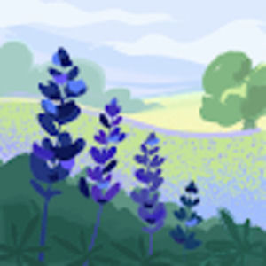 Meet your Posher, Krista